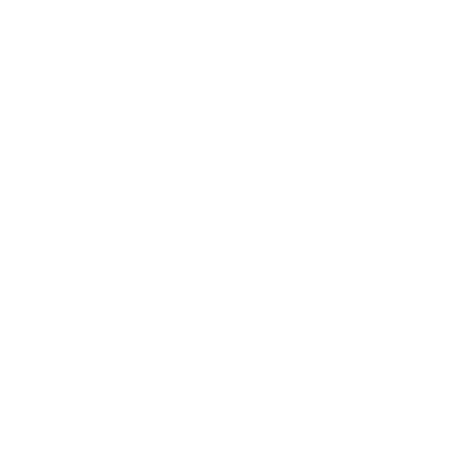Ferros